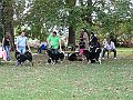 img 129